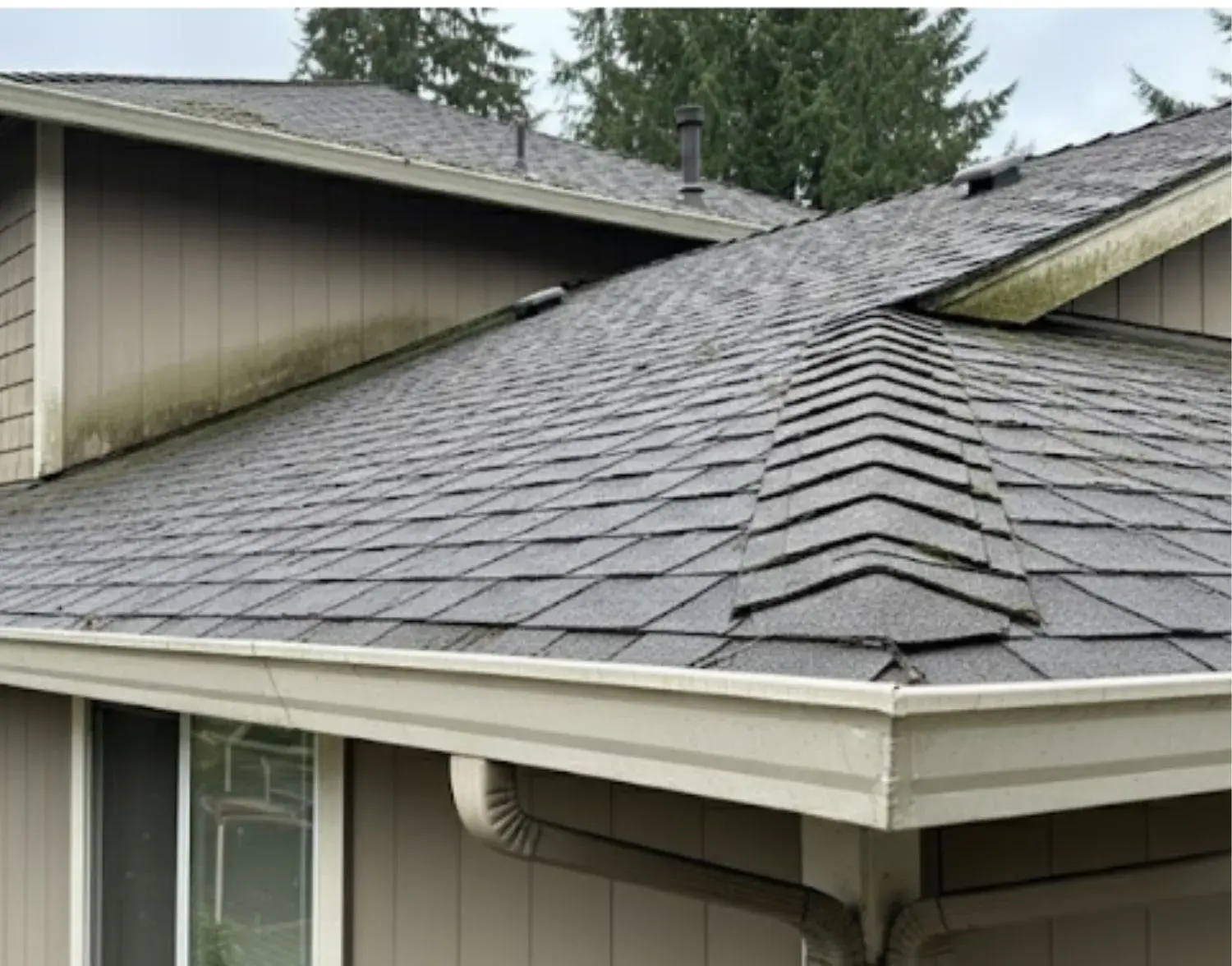 A roof with cleaned gutters after gutter cleaning service