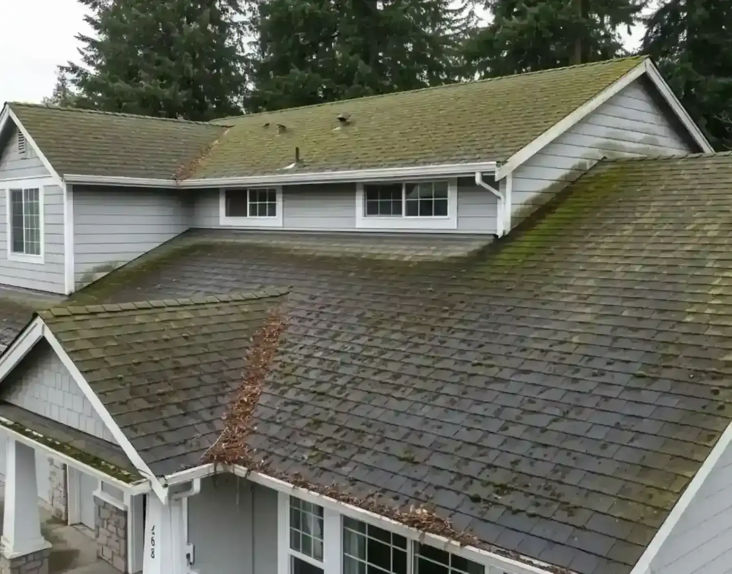 A uncleaned roof in East Bay Drive olympia before Cleaning