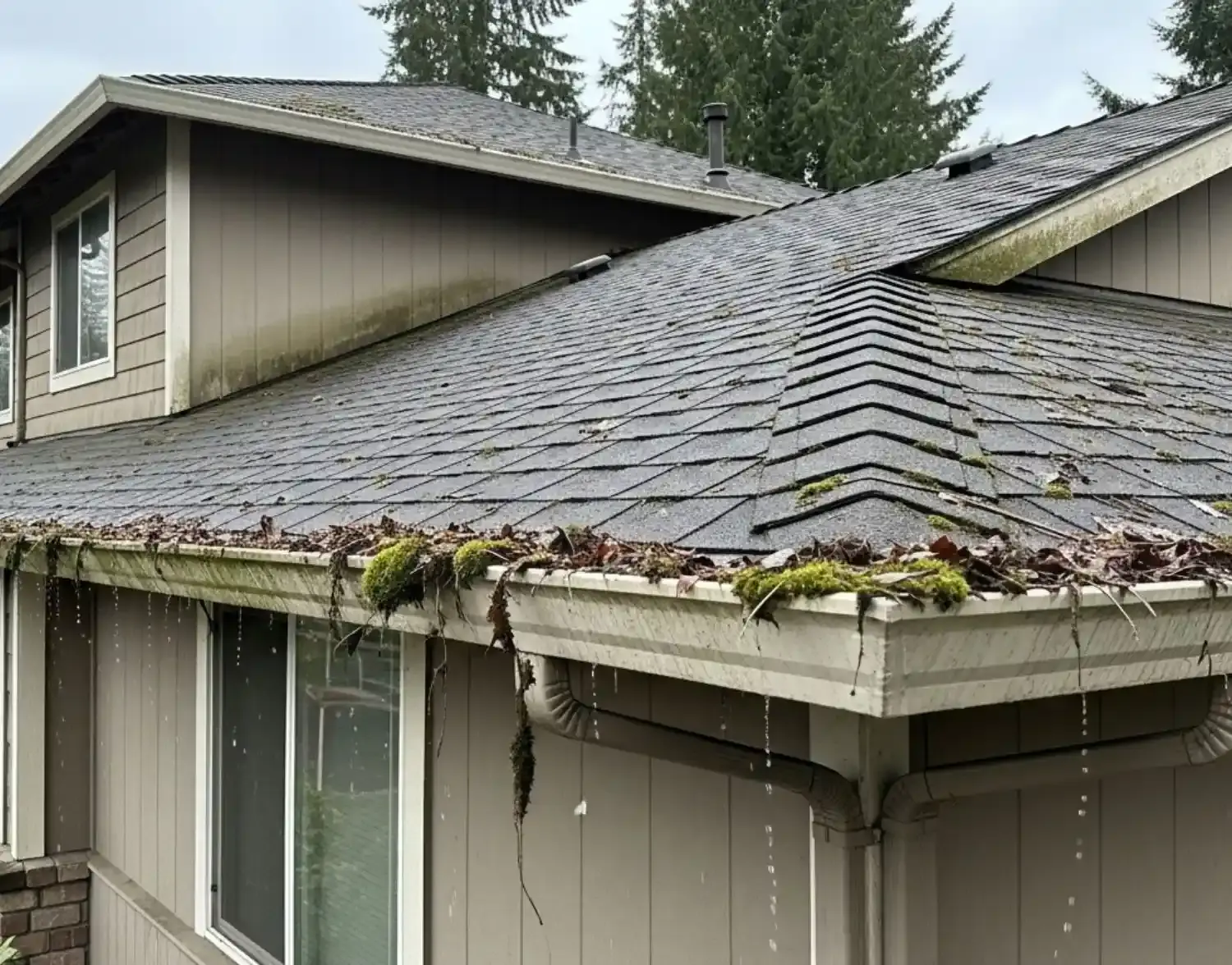A roof gutters without gutter cleaning service in olympia