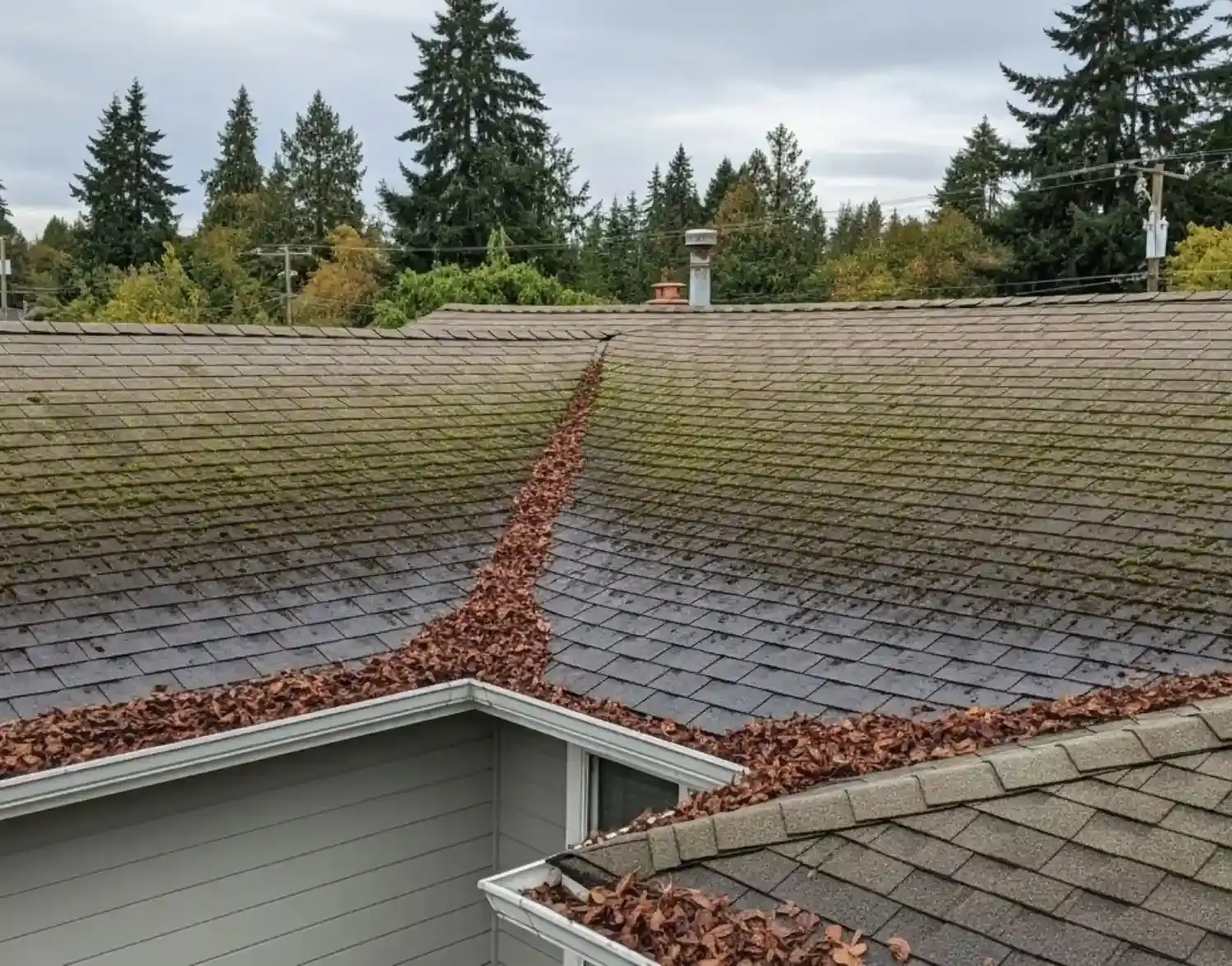 Signs a roof needs to be cleaned in west bay drive olympia