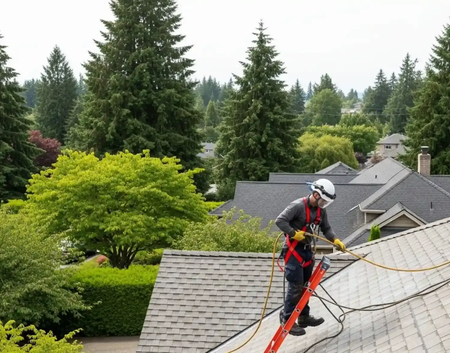 The ORC Cleaners team is cleaning a roof in west bay drive olympia